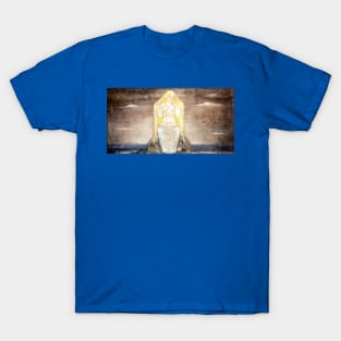 Freya - John Bauer T-Shirt